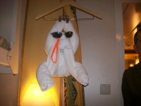 /album/photo-gallery/a1st-cruse-freedom-of-the-seas-062-jpg/